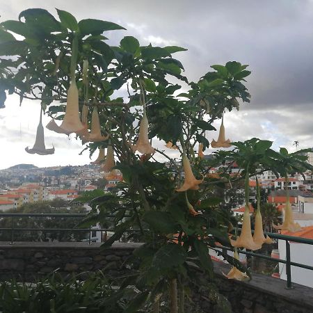 Casa Vanday Funchal  Eksteriør bilde