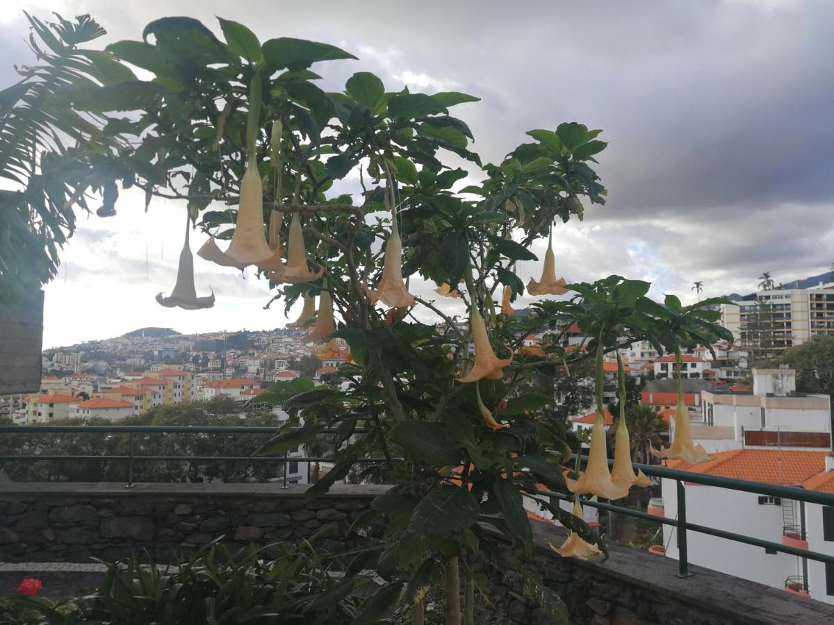 Casa Vanday Funchal  Eksteriør bilde